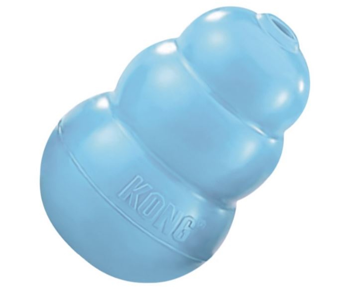 Kong Puppy Blau